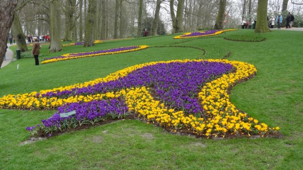 DSC02476-b.JPG DSC02476-b.JPG