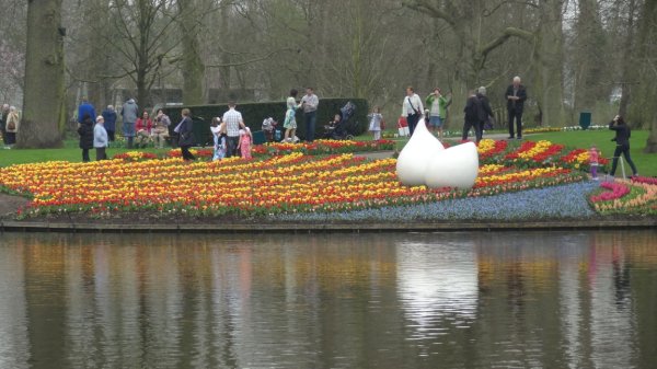 DSC02479-b.JPG DSC02479-b.JPG