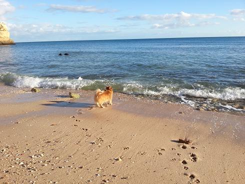 Bassi Atlanten2.JPG Bassi Atlanten2.JPG