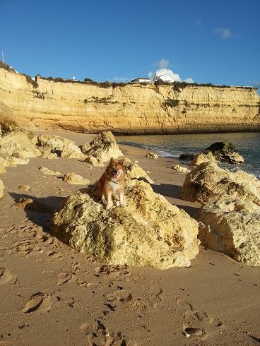 Bassi sten1.JPG Bassi sten1.JPG