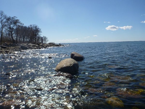 P1040843.JPG P1040843.JPG