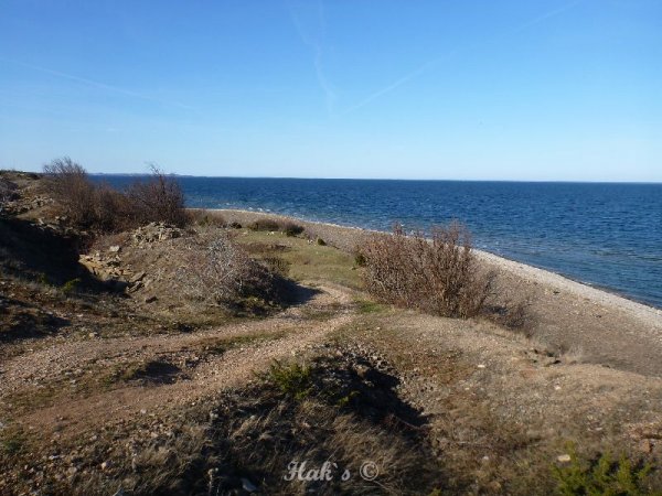 P1040850.JPG P1040850.JPG