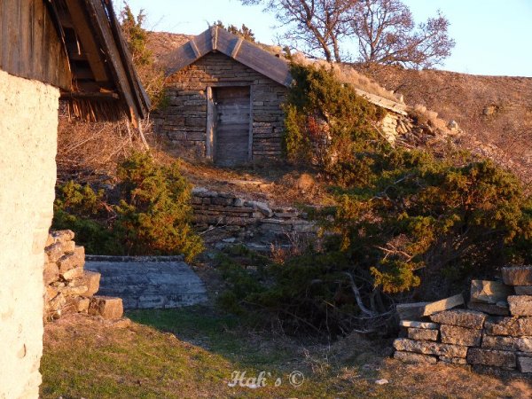 P1090611.JPG P1090611.JPG