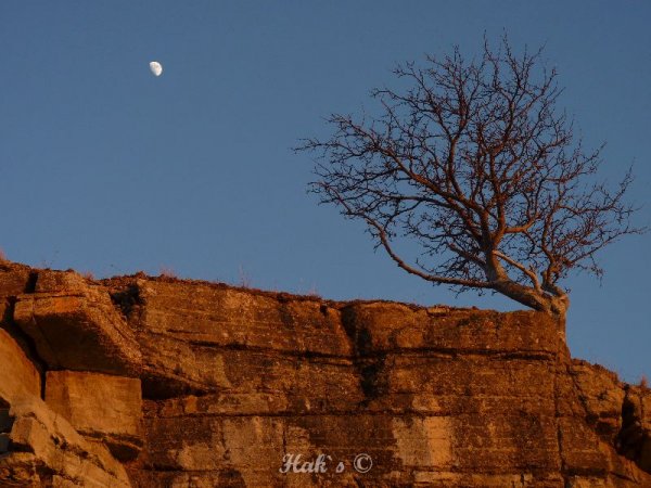 P1090616.JPG P1090616.JPG