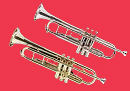 jubeltrumpeter v180.jpg