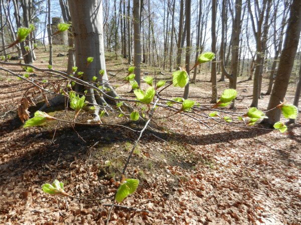 DSCN1356.JPG