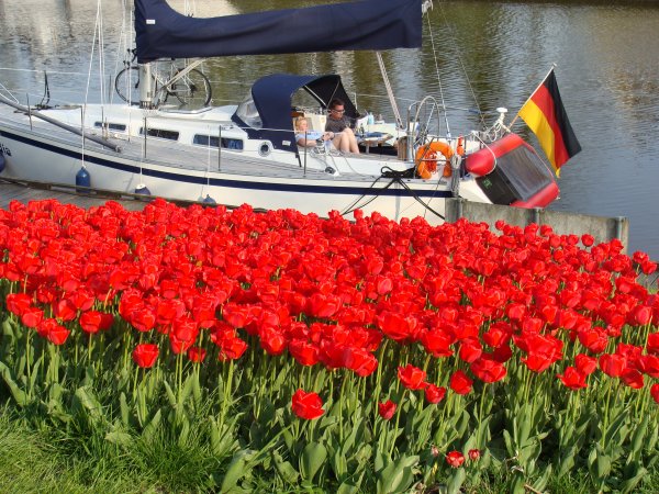 Tulpenstad Dokkum 2013 014.JPG