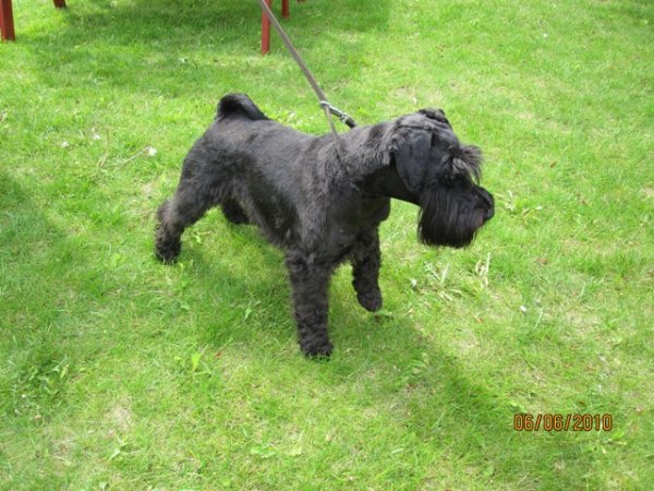 Rossi står fint-.jpg