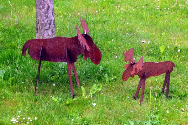 3.Tyska älgar.jpg 3.Tyska älgar.jpg