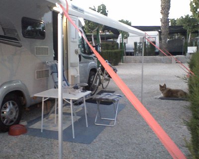 orange spännband.jpg orange spännband.jpg