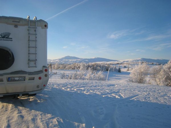 IMG_0416 (Large).JPG