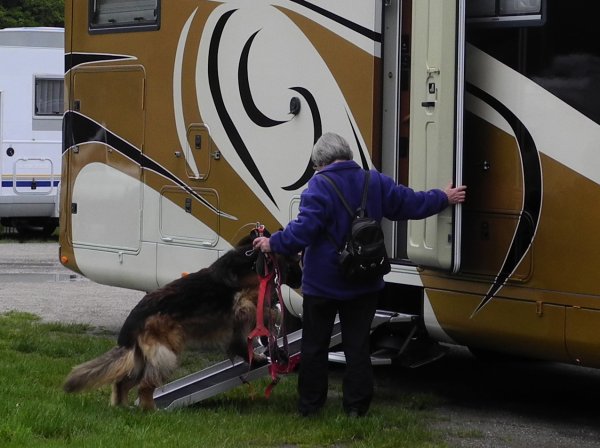 Celle med hund (2).jpg