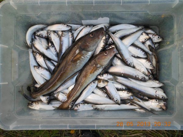 DSCN1057 (Medium).JPG