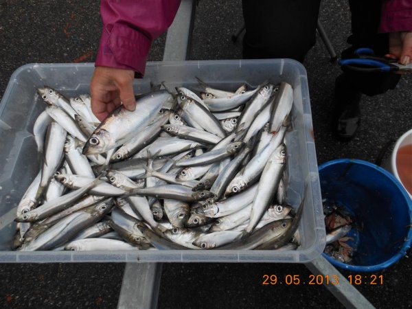 DSCN1063 (Medium).JPG