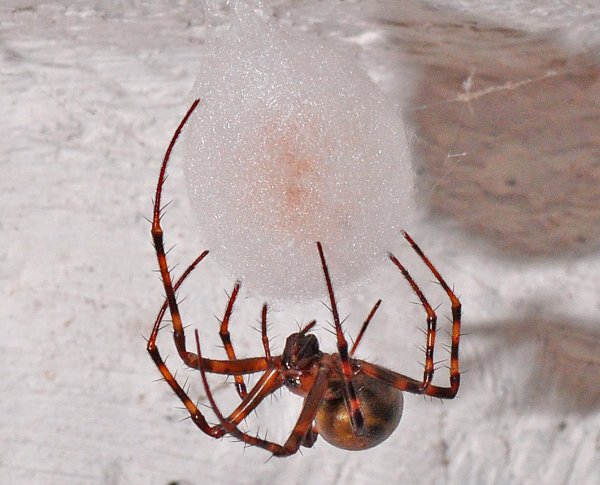 DSC_1045b800.jpg DSC_1045b800.jpg