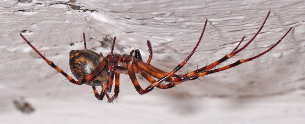 DSC_0987b.jpg DSC_0987b.jpg