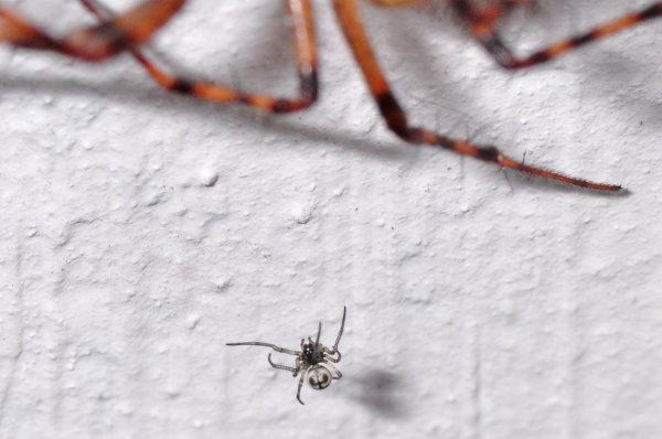 DSC_1016b800.jpg DSC_1016b800.jpg