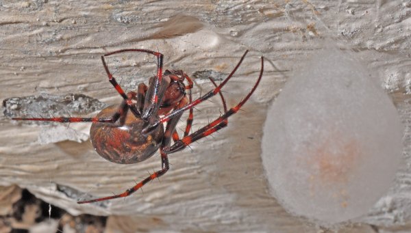 DSC_0940b1000.jpg DSC_0940b1000.jpg