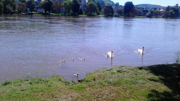 2013-05-28 11.45.46.jpg