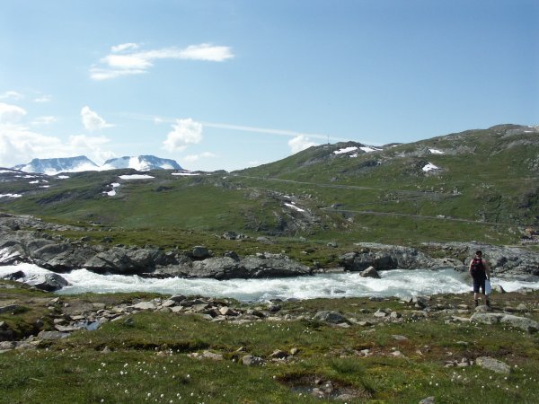 PICT0135.jpg PICT0135.jpg