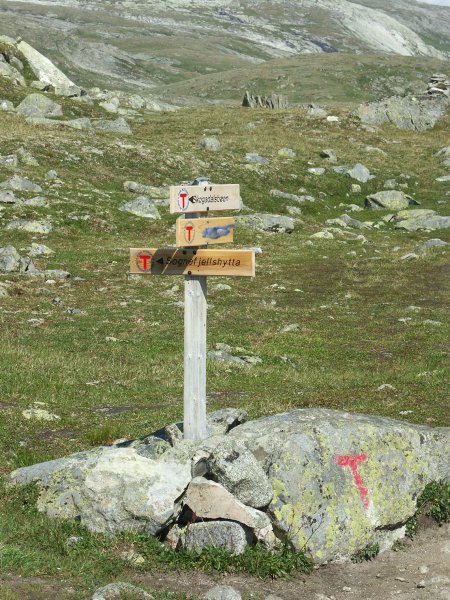 PICT0208_ed.jpg PICT0208_ed.jpg