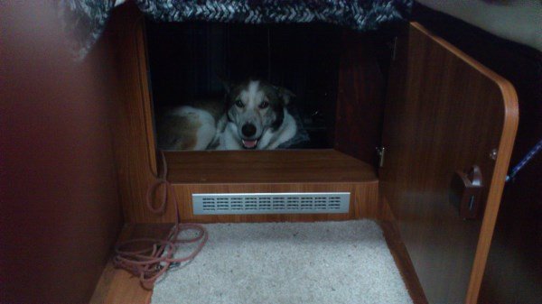 Hundlucka (600 x 337).jpg