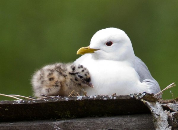 IMG_4248 (Large).jpg IMG_4248 (Large).jpg