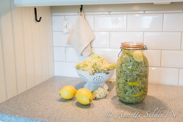 130630.012.jpg 130630.012.jpg