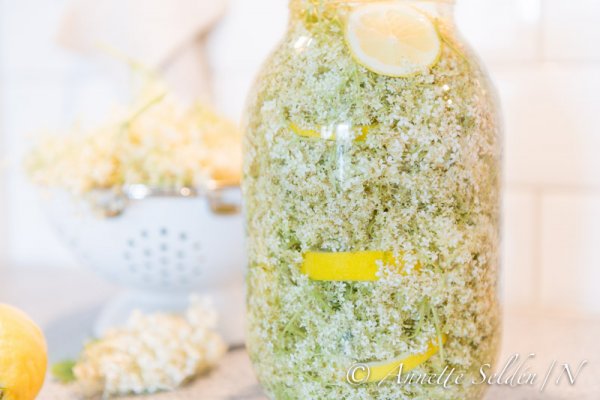 130630.013.jpg 130630.013.jpg