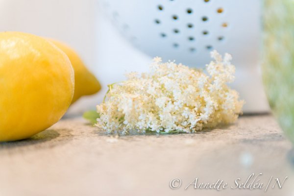 130630.016.jpg 130630.016.jpg