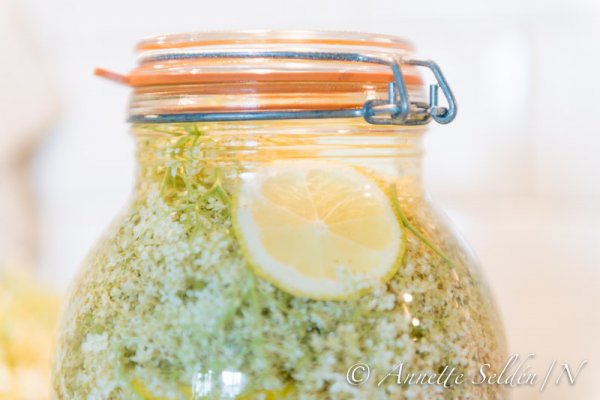 130630.017.jpg 130630.017.jpg