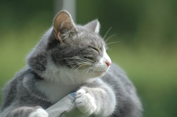 DSC_9725.JPG DSC_9725.JPG