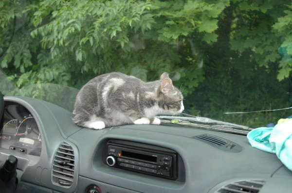 DSC_9804.JPG DSC_9804.JPG