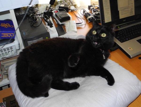 knäppa Millan.jpg knäppa Millan.jpg