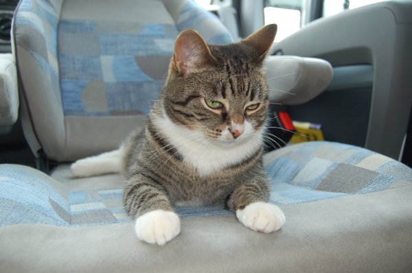 DSC_0043.JPG
