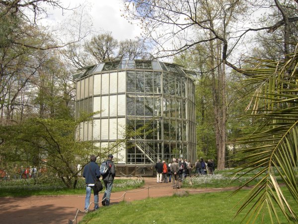 Kamelia.JPG Kamelia.JPG