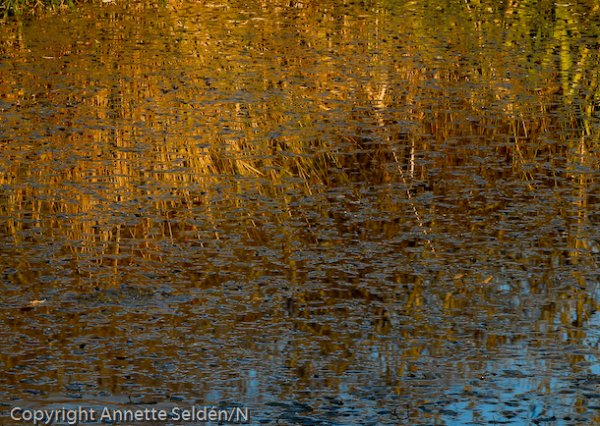 20050613-071104 (31).jpg