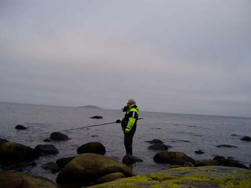 oeland 4_0811.JPG oeland 4_0811.JPG