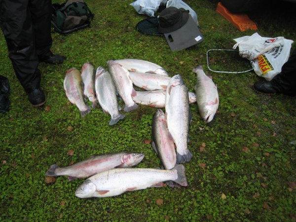 Bild 298.jpg Bild 298.jpg