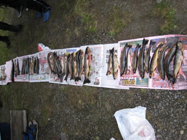 Semester 2008 138.jpg Semester 2008 138.jpg