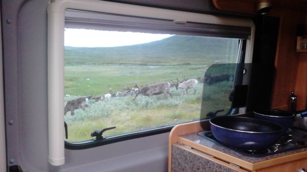 2013-07-14 09.49.37.jpg