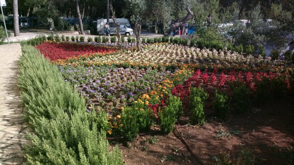 2013-06-30-0786.jpg