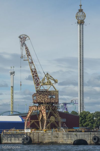 DSC_6393.jpg DSC_6393.jpg