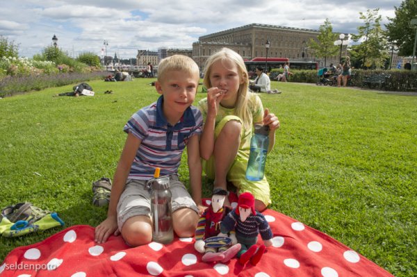 DSC_6398.jpg DSC_6398.jpg