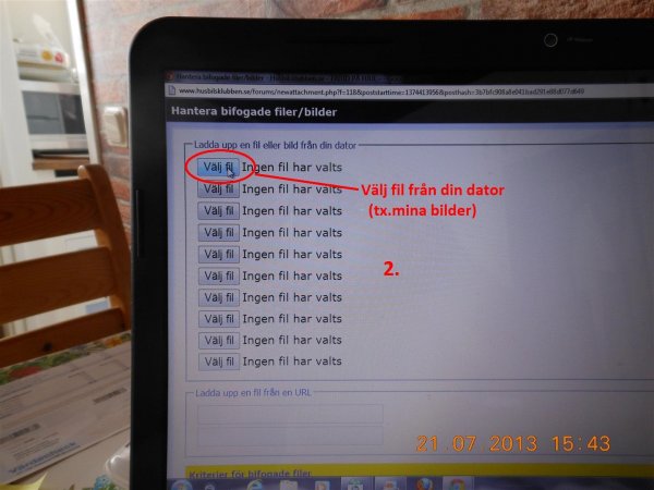 DSCN1735 (Large).JPG