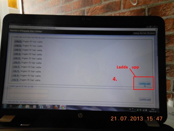 DSCN1739 (Large).JPG