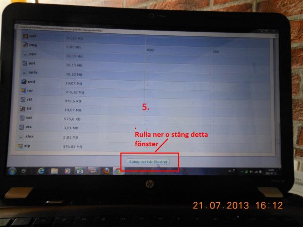 DSCN1743 (Large).JPG