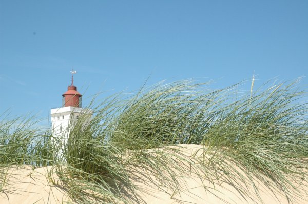 DSC_0274.JPG DSC_0274.JPG