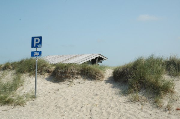 DSC_0580.JPG DSC_0580.JPG