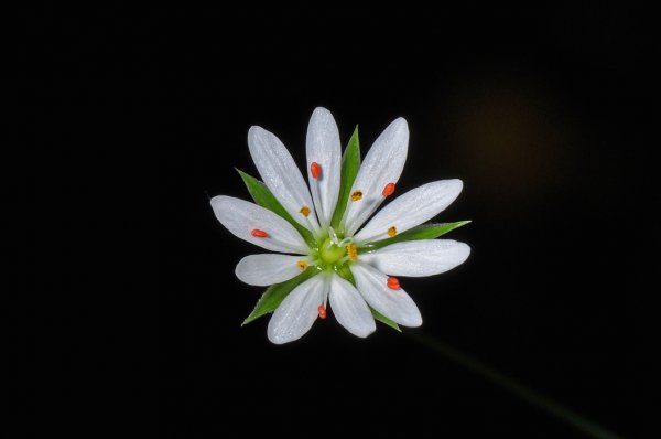 DSC_1743b700.jpg DSC_1743b700.jpg